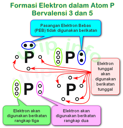 Detail Contoh Elektron Valensi Nomer 45