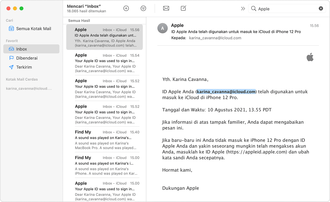 Detail Contoh Email Icloud Nomer 17