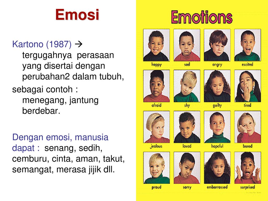 Detail Contoh Emosi Marah Nomer 10