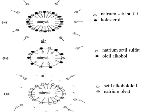 Detail Contoh Emulsi Air Dalam Minyak Nomer 16