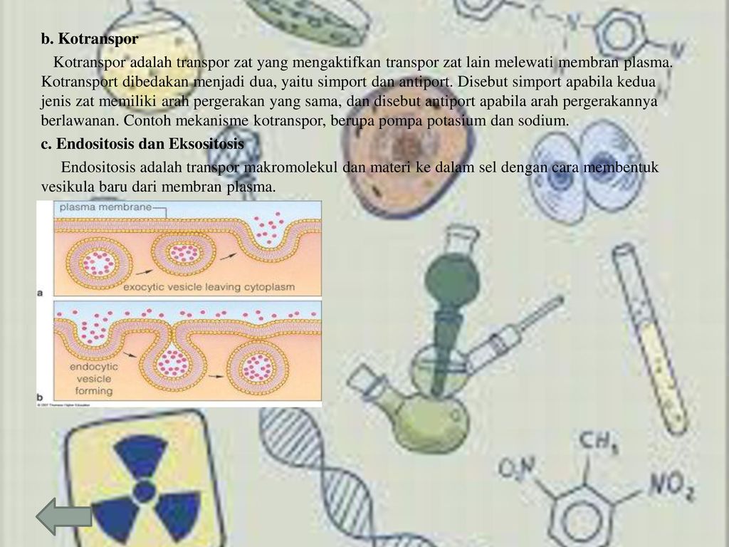 Detail Contoh Endositosis Dan Eksositosis Nomer 52