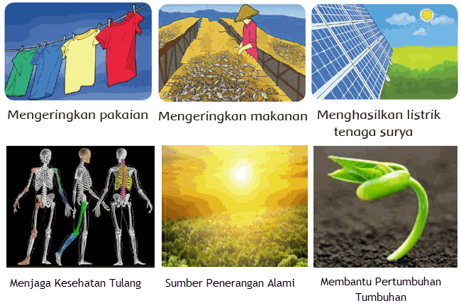 Detail Contoh Energi Cahaya Nomer 48