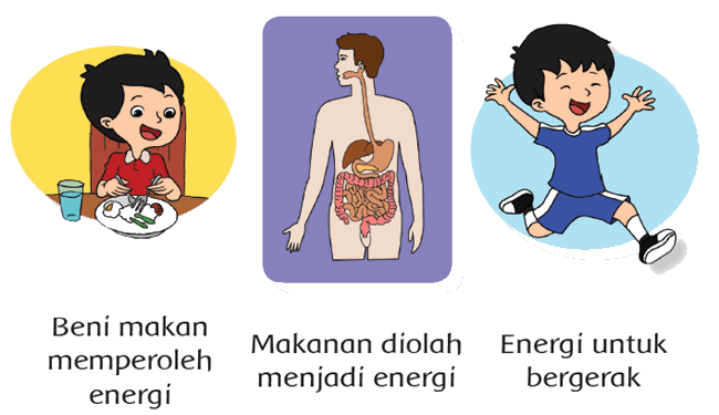 Detail Contoh Energi Kimia Menjadi Energi Gerak Nomer 20