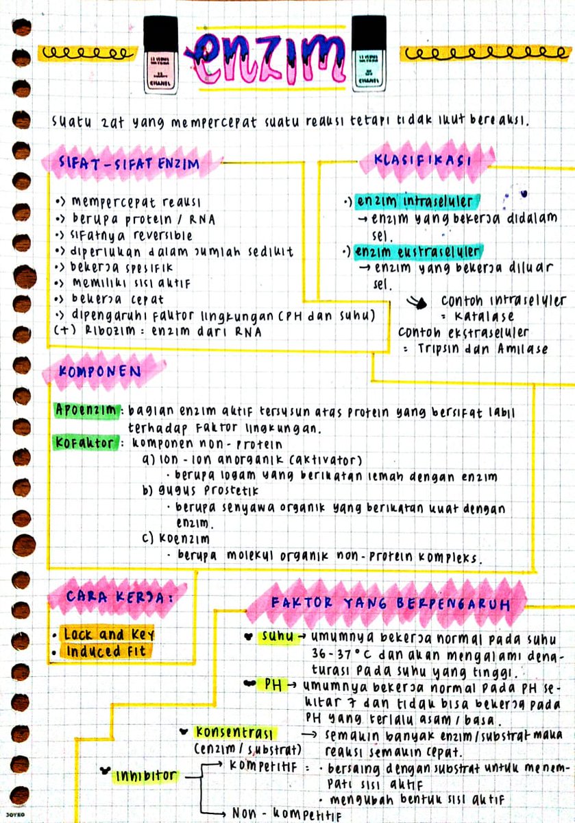 Detail Contoh Enzim Intraseluler Nomer 34