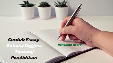 Detail Contoh Essay Pendidikan Nomer 46