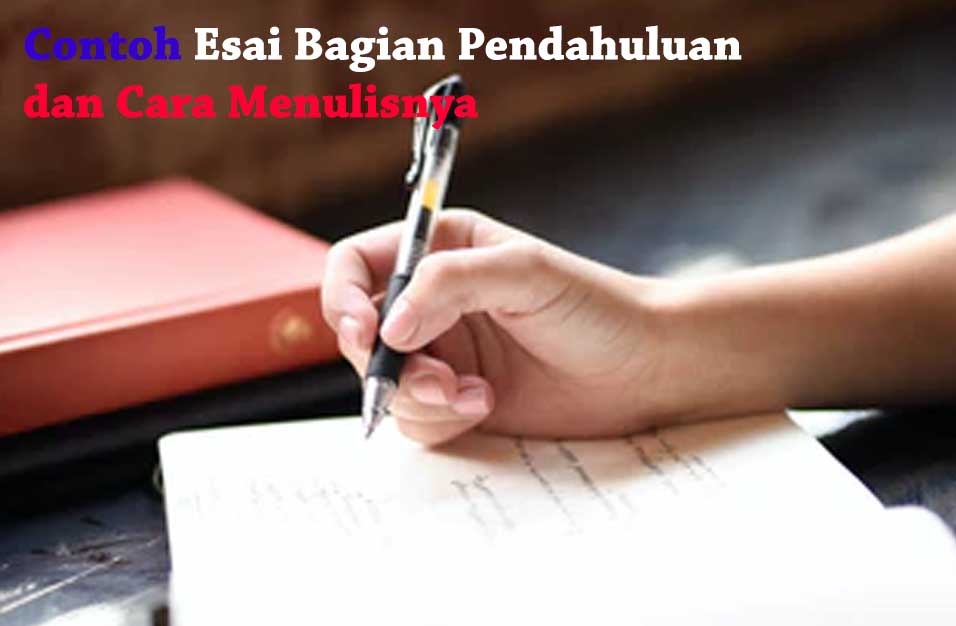 Detail Contoh Essay Yang Baik Dan Benar Nomer 56