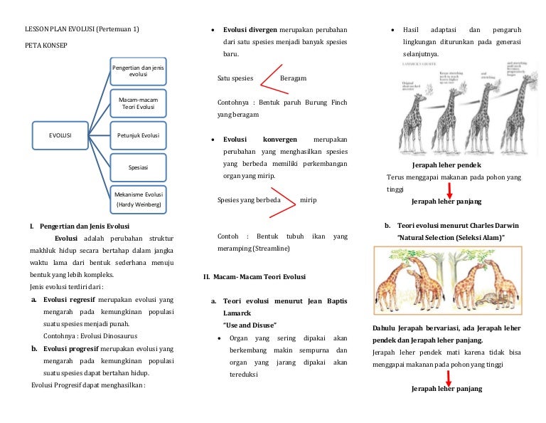 Detail Contoh Evolusi Biologi Nomer 3