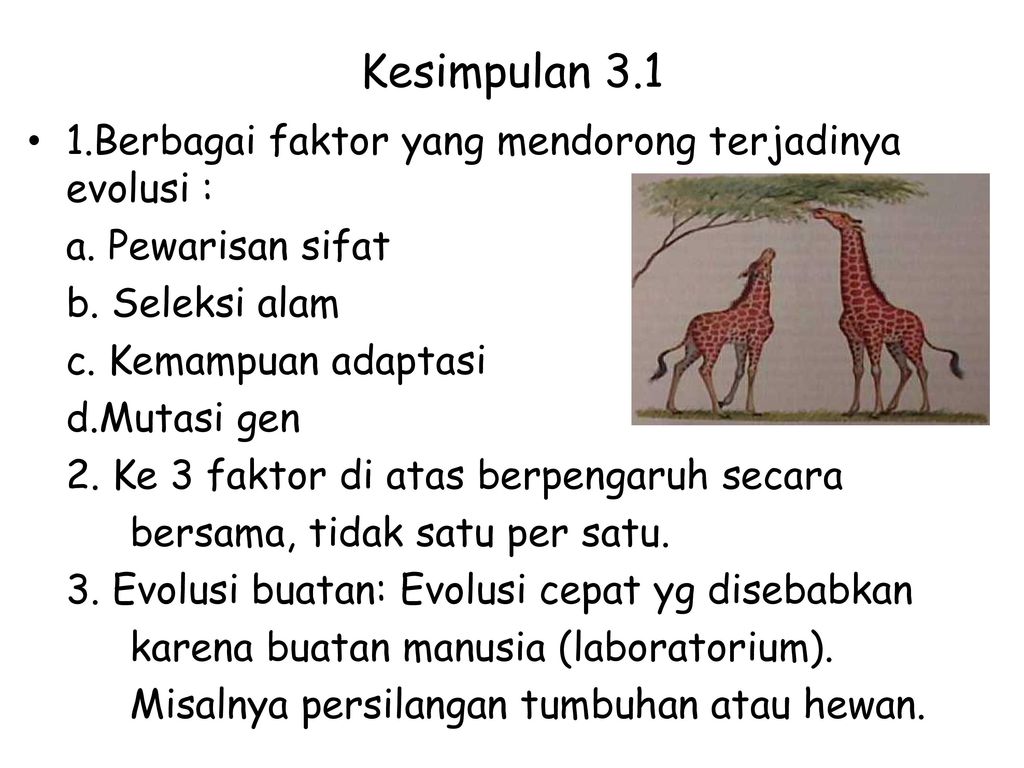 Detail Contoh Evolusi Biologi Nomer 47