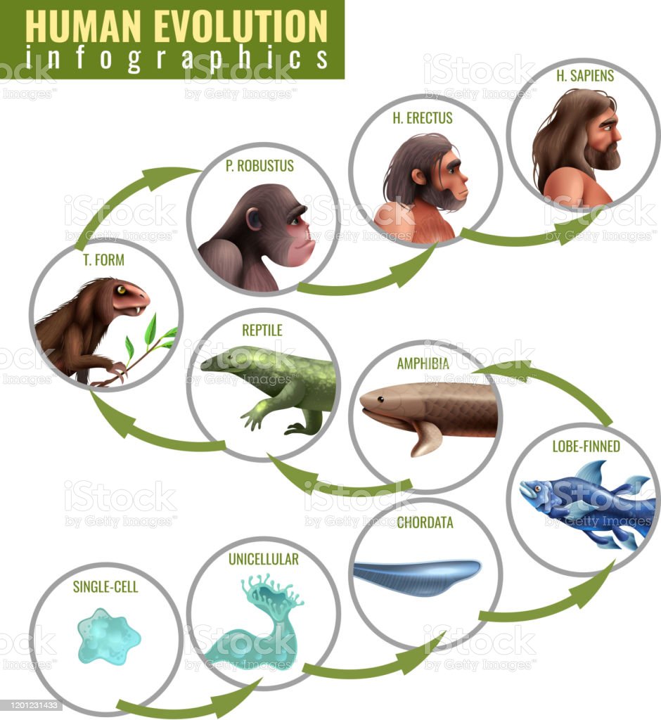 Detail Contoh Evolusi Biologi Nomer 50