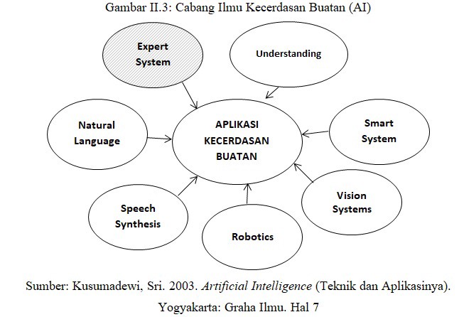 Detail Contoh Expert System Nomer 25