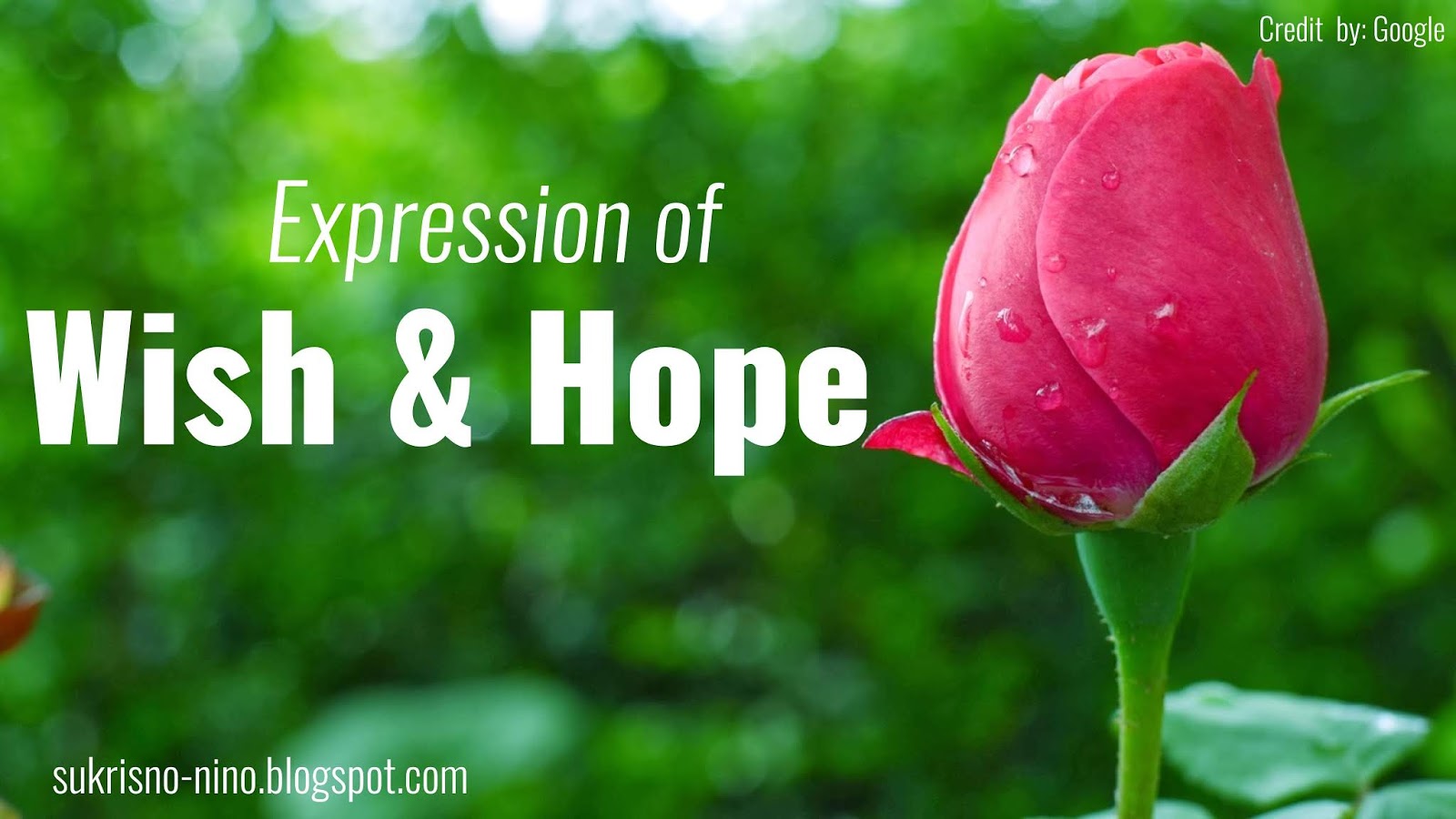 Detail Contoh Expression Of Hope Nomer 22