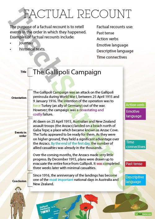 Detail Contoh Factual Recount Nomer 2