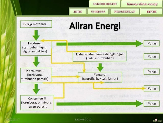 Detail Contoh Faktor Biotik Nomer 13