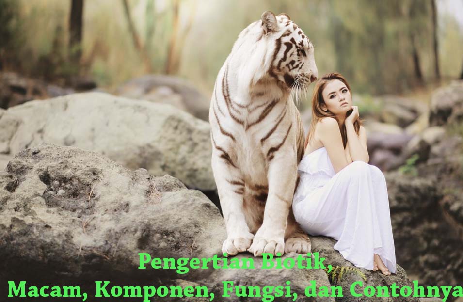 Detail Contoh Faktor Biotik Nomer 52