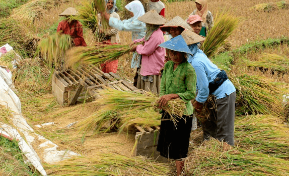 Contoh Faktor Produksi - KibrisPDR