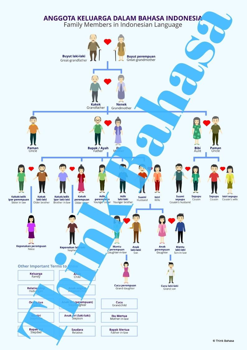 Detail Contoh Family Members Nomer 14