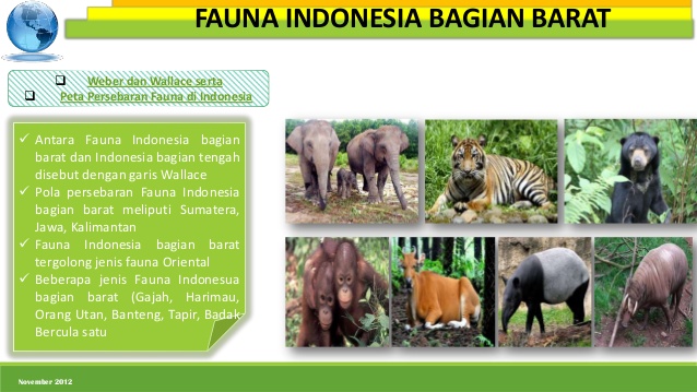 Detail Contoh Fauna Bagian Barat Nomer 44