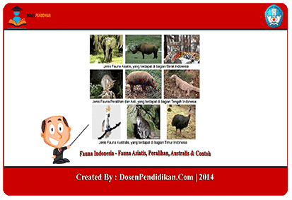 Detail Contoh Fauna Di Indonesia Nomer 25