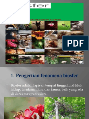 Detail Contoh Fenomena Biosfer Nomer 21