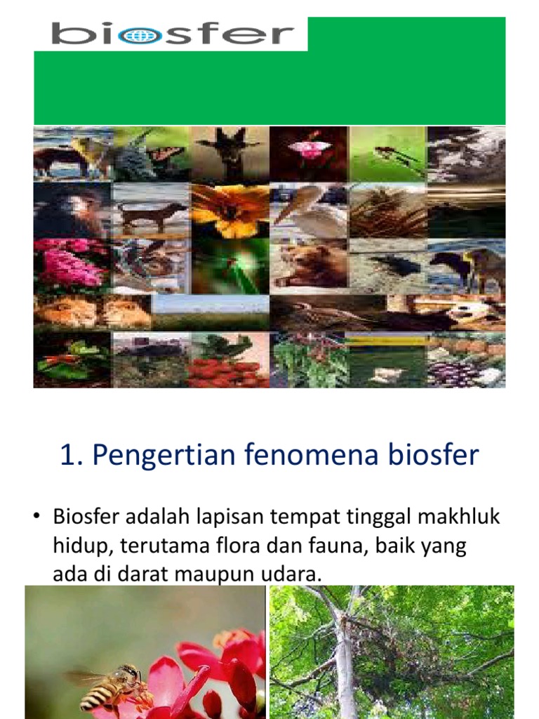 Detail Contoh Fenomena Biosfer Nomer 22