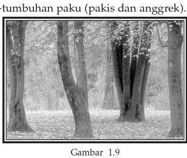 Detail Contoh Fenomena Biosfer Nomer 39