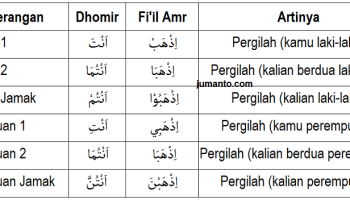 Detail Contoh Fi Il Amar Nomer 29