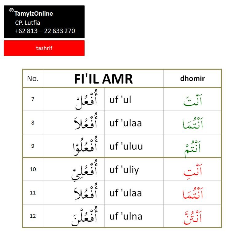 Detail Contoh Fi Il Amar Nomer 43