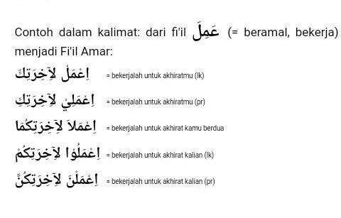 Detail Contoh Fi Il Amar Nomer 8