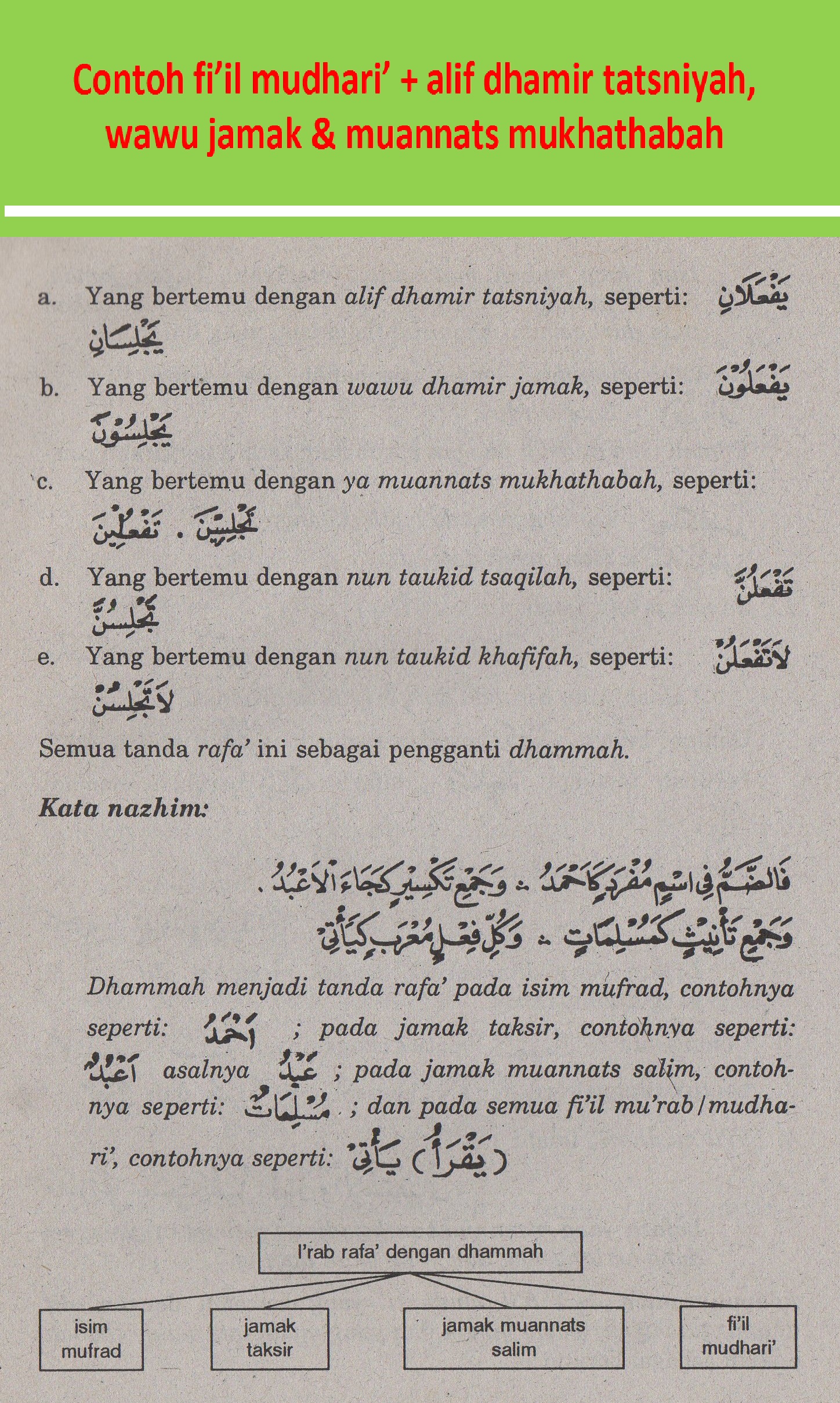 Detail Contoh Fi Il Fa Il Dalam Al Quran Nomer 55