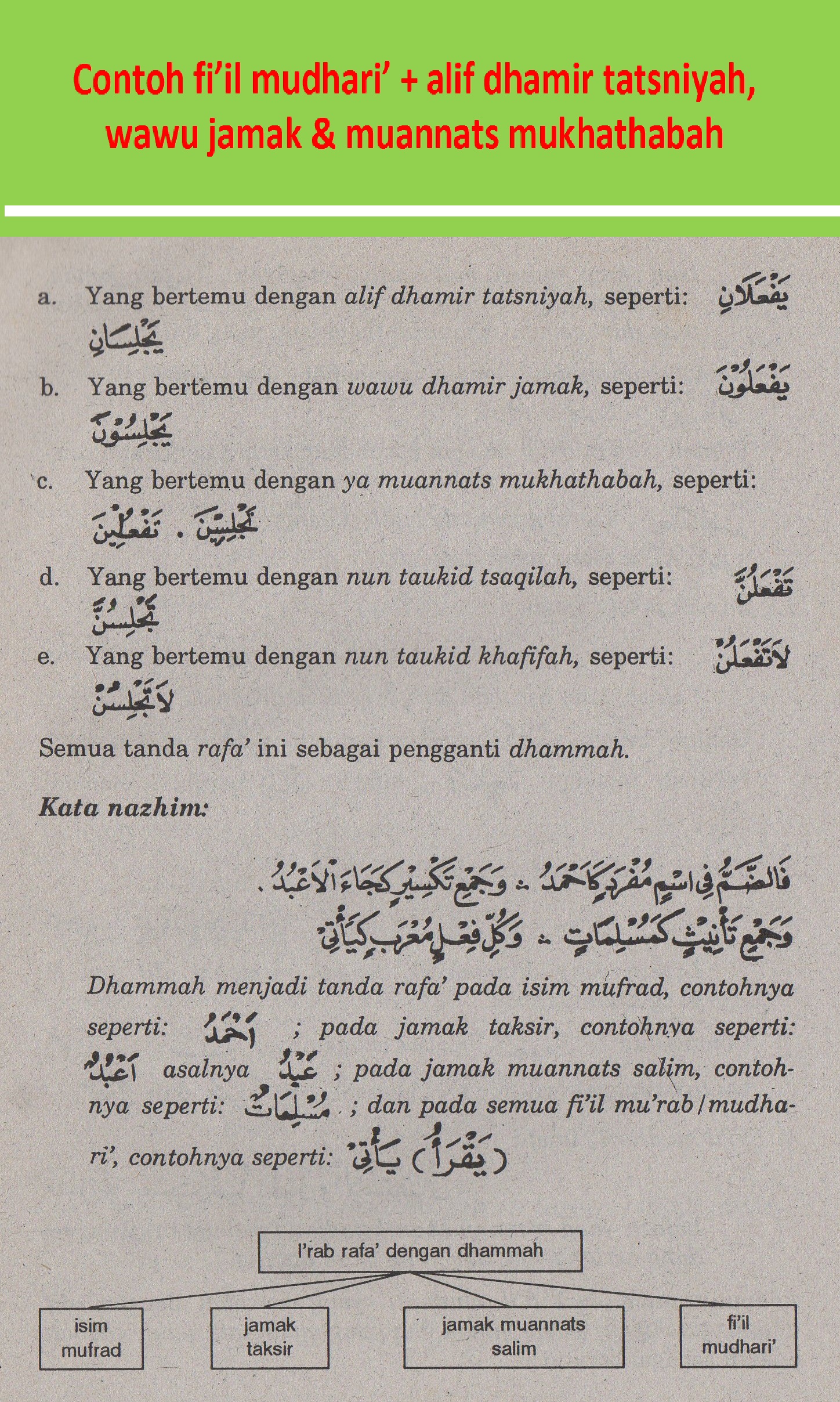 Detail Contoh Fi Il Mudhari Dalam Al Quran Nomer 20