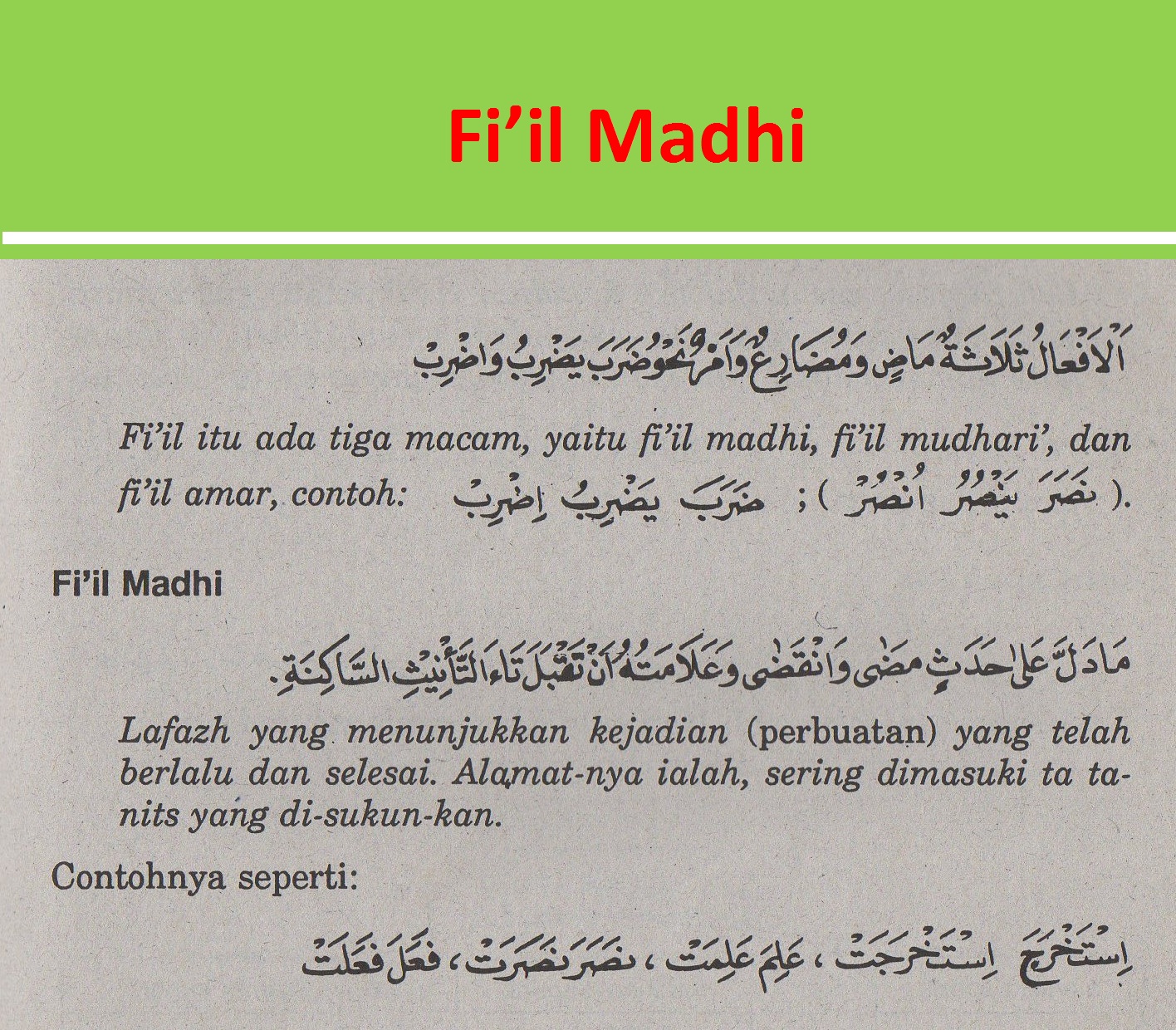 Detail Contoh Fi Il Mudhari Dalam Al Quran Nomer 32