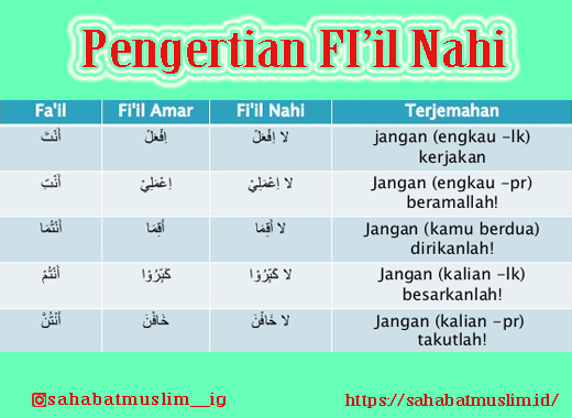 Detail Contoh Fiil Amar Dalam Al Quran Nomer 24