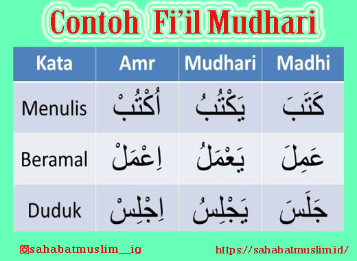 Detail Contoh Fiil Amar Dalam Al Quran Nomer 41