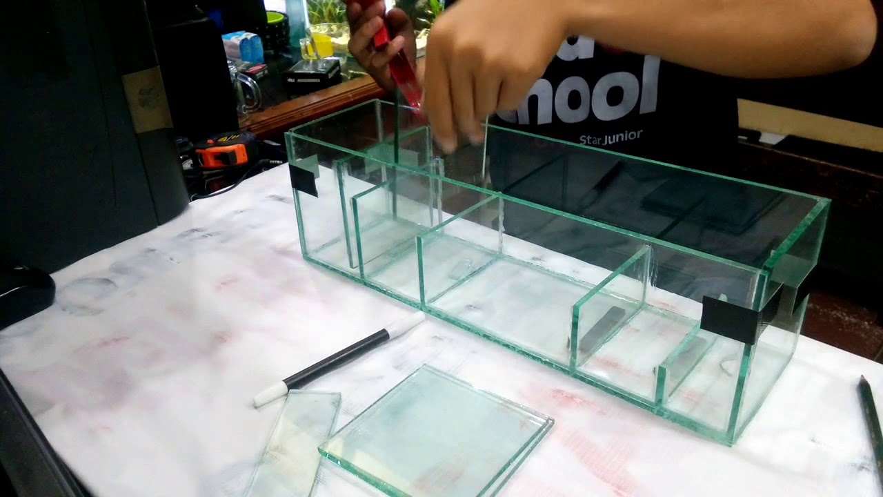 Detail Contoh Filter Aquarium Nomer 18