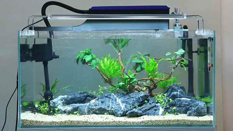 Detail Contoh Filter Aquarium Nomer 3