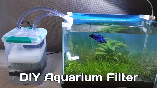 Detail Contoh Filter Aquarium Nomer 36