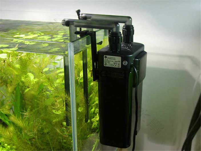 Detail Contoh Filter Aquarium Nomer 37