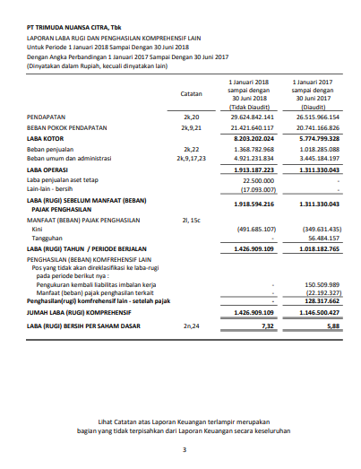 Detail Contoh Financial Statement Nomer 30