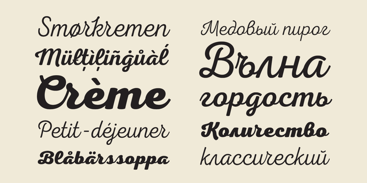 Detail Contoh Font Script Nomer 42