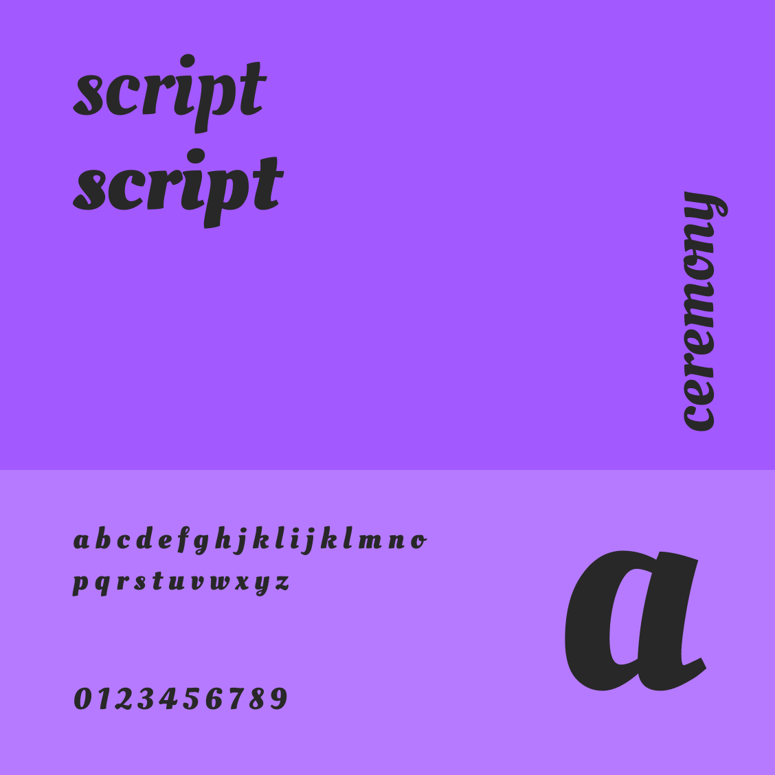 Detail Contoh Font Script Nomer 47
