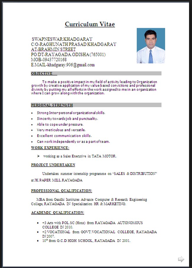 Detail Contoh Form Cv Nomer 11