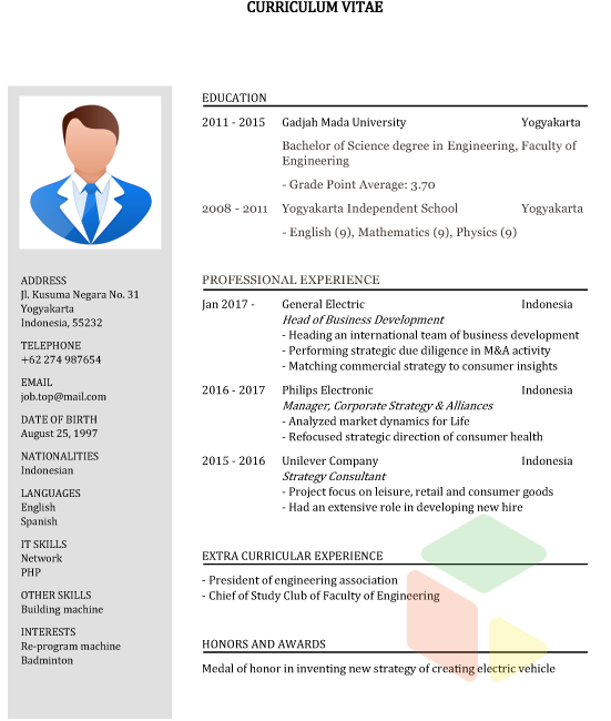 Detail Contoh Format Cv Nomer 24