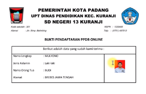 Detail Contoh Formulir Ppdb Sd Nomer 46