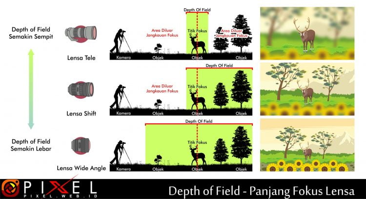 Detail Contoh Foto Depth Of Field Nomer 34