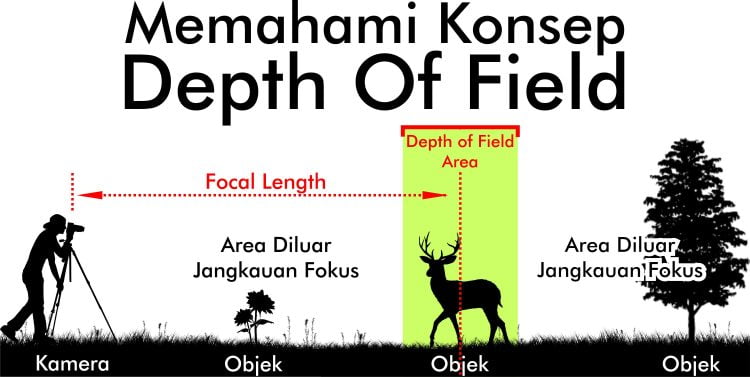 Detail Contoh Foto Depth Of Field Nomer 46