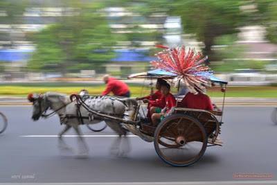 Detail Contoh Foto Panning Nomer 35