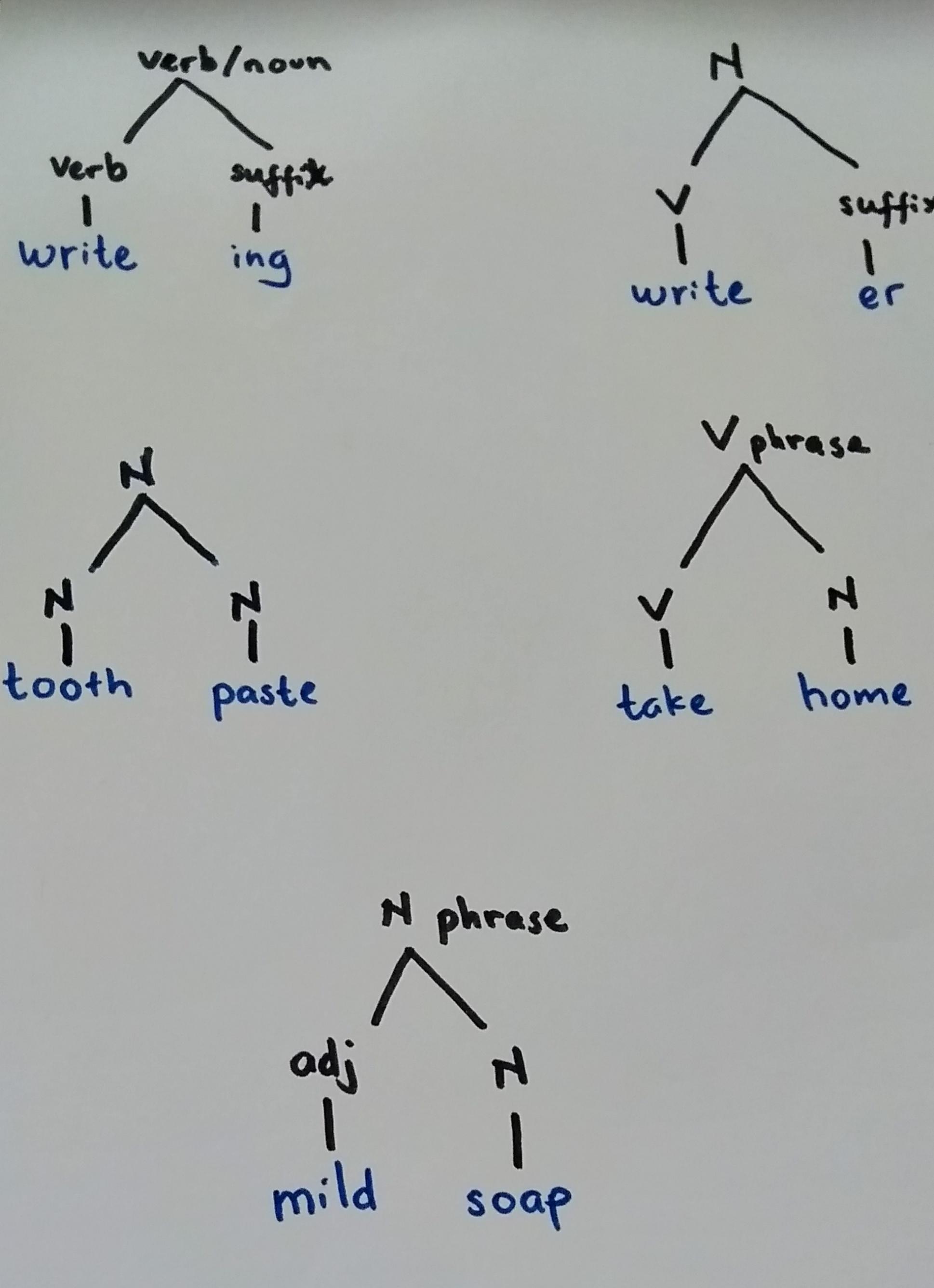 Detail Contoh Free Morpheme Nomer 44