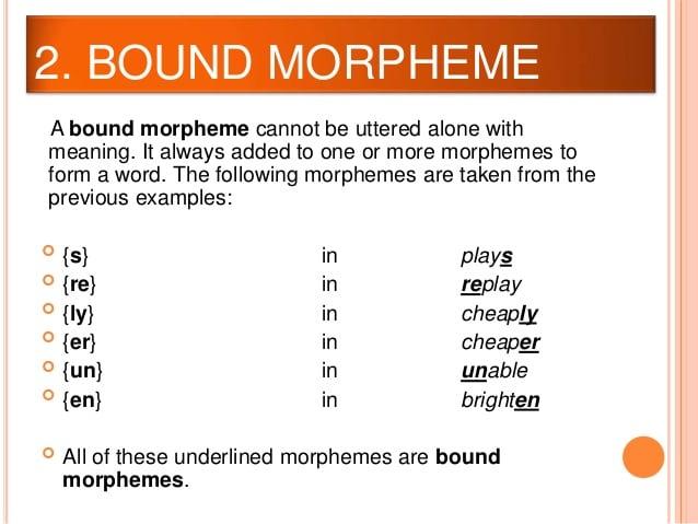Detail Contoh Free Morpheme Nomer 7