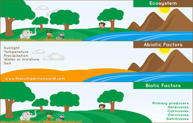 Detail Contoh Gambar Abiotik Nomer 10