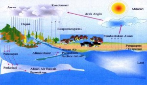 Detail Contoh Gambar Abiotik Nomer 20